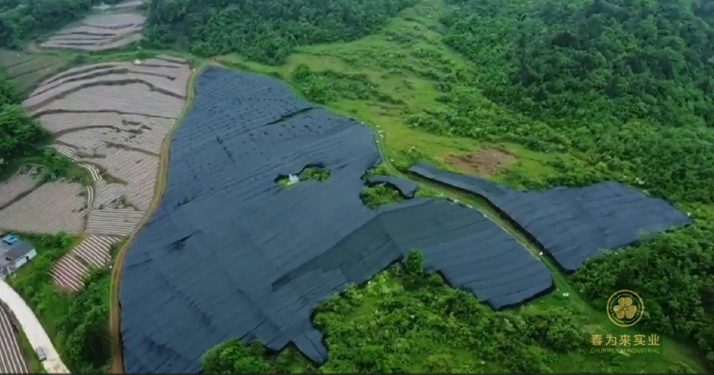 春为来山葵种植基地航拍